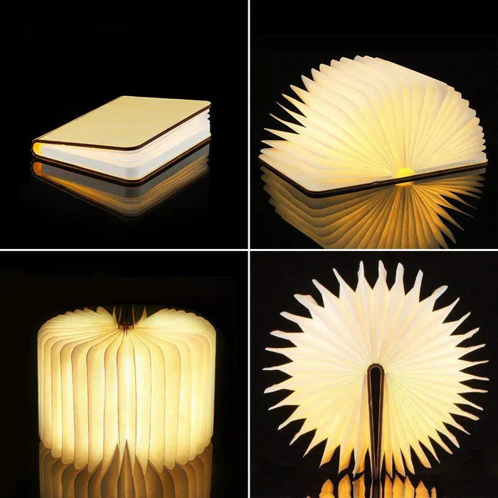 Compact LED Reading Light with Flexible Arm