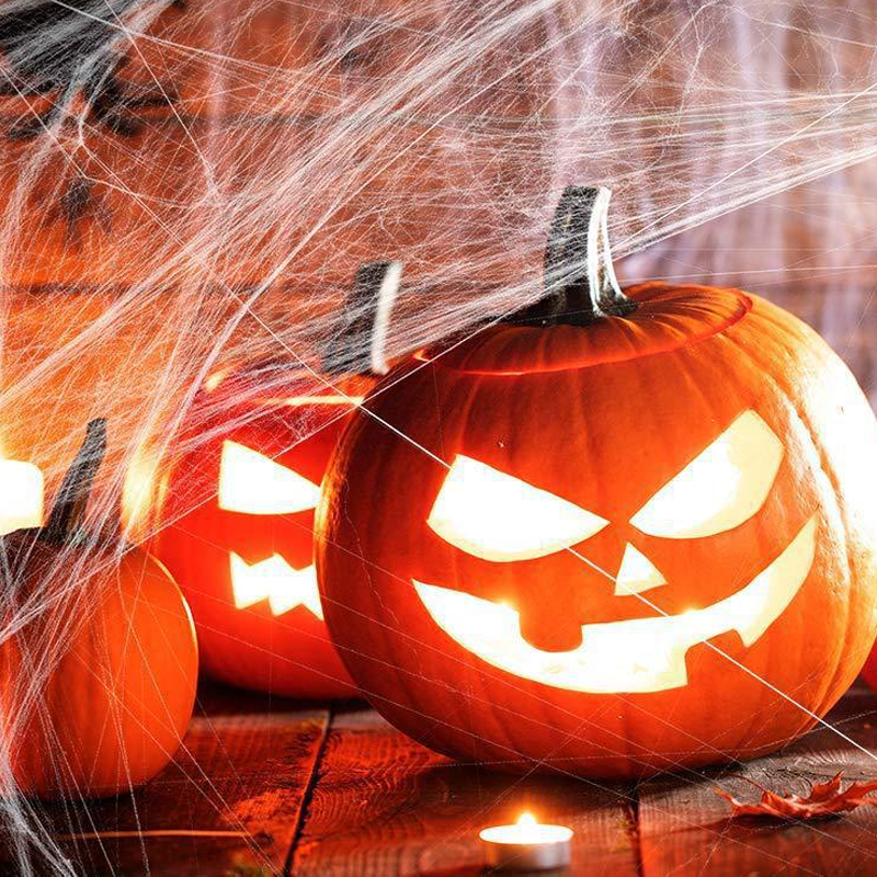 Creepy Halloween Spider Web Decor