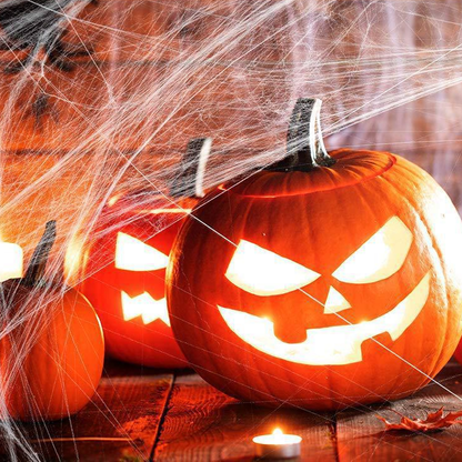 Creepy Halloween Spider Web Decor