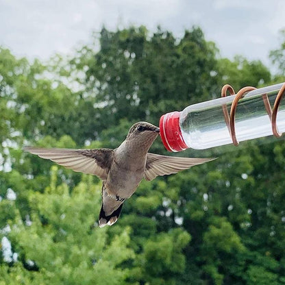 Bird Watching Window Feeder
