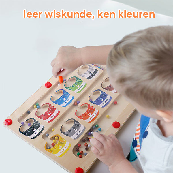 Fun Learning Magnetic Maze Board