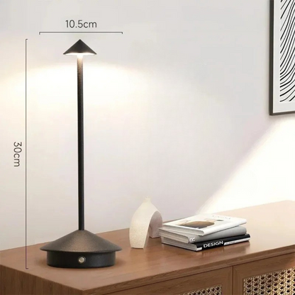 Contemporary Metal Desk LED Portable Table Light
