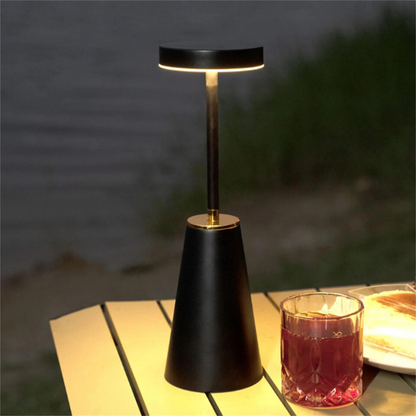 Contemporary Metal Cone Portable Desk Lamp