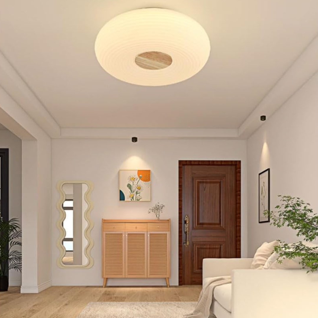 Stylish LED Ceiling Fixture