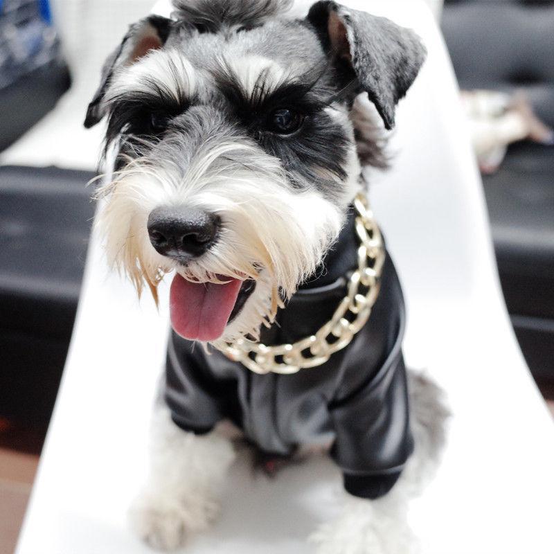 Luxury Pet Gold Plated Chain Dog Collar