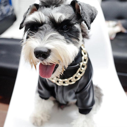 Luxury Pet Gold Plated Chain Dog Collar