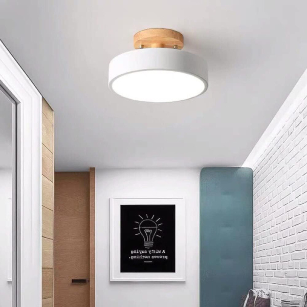 Slim Contemporary LED Ceiling Light