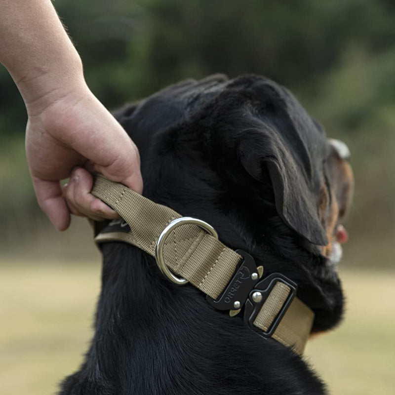 Durable Control Dog Collar with Handle – Strong Heavy Duty Collar - Fesara