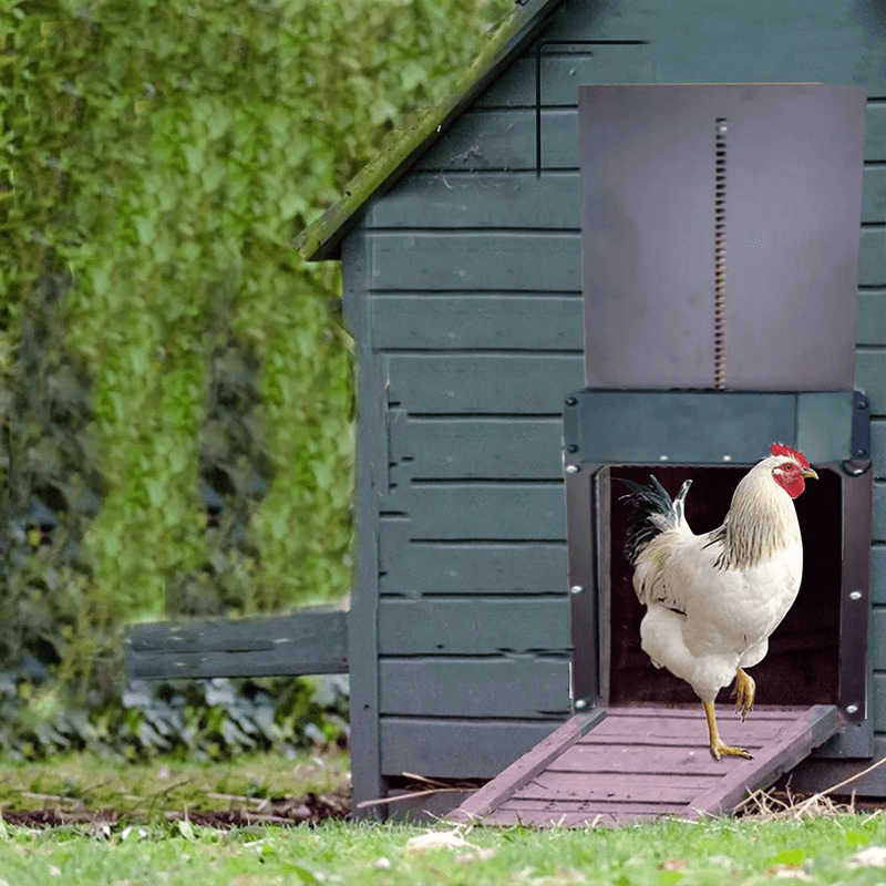 Easy Close Automatic Chicken House Door
