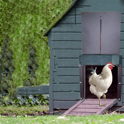 Easy Close Automatic Chicken House Door