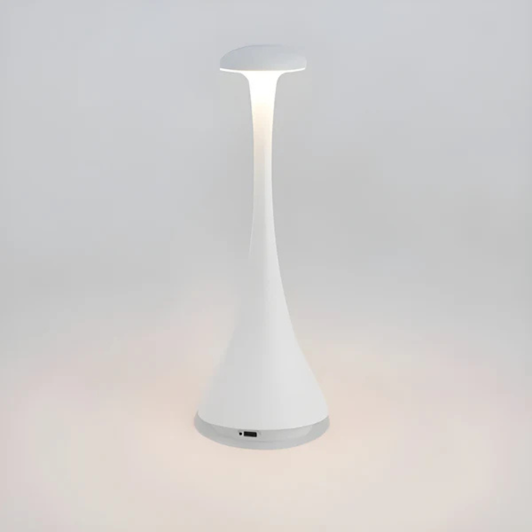 Bright Portable Desk Light