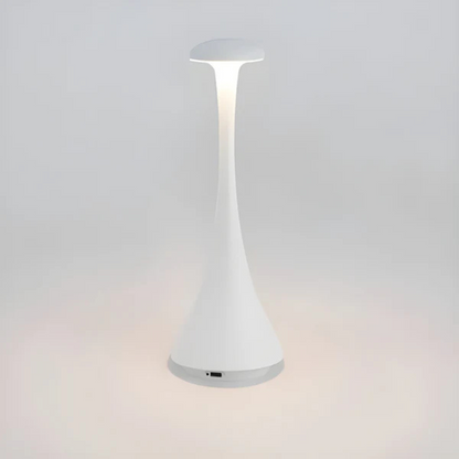 Bright Portable Desk Light