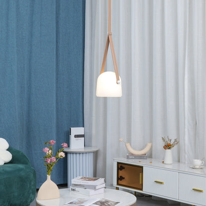 Stylish Glass Pendant Ceiling Light Fixture