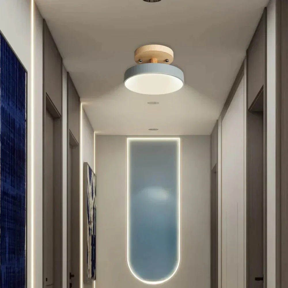Slim Contemporary LED Ceiling Light