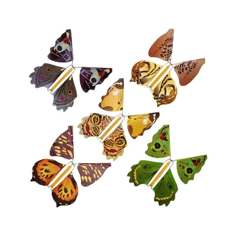 Colorful Winged Butterfly Decoration