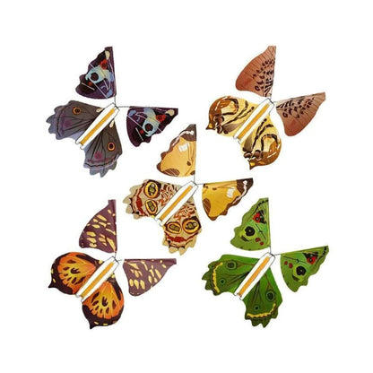Colorful Winged Butterfly Decoration
