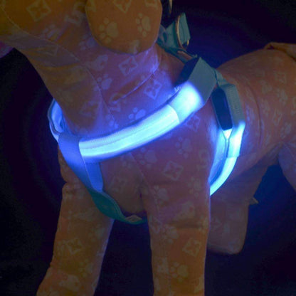 Durable Pet Collar for Safe Dog Walking