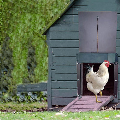 Easy Auto Chicken Coop Door Opener