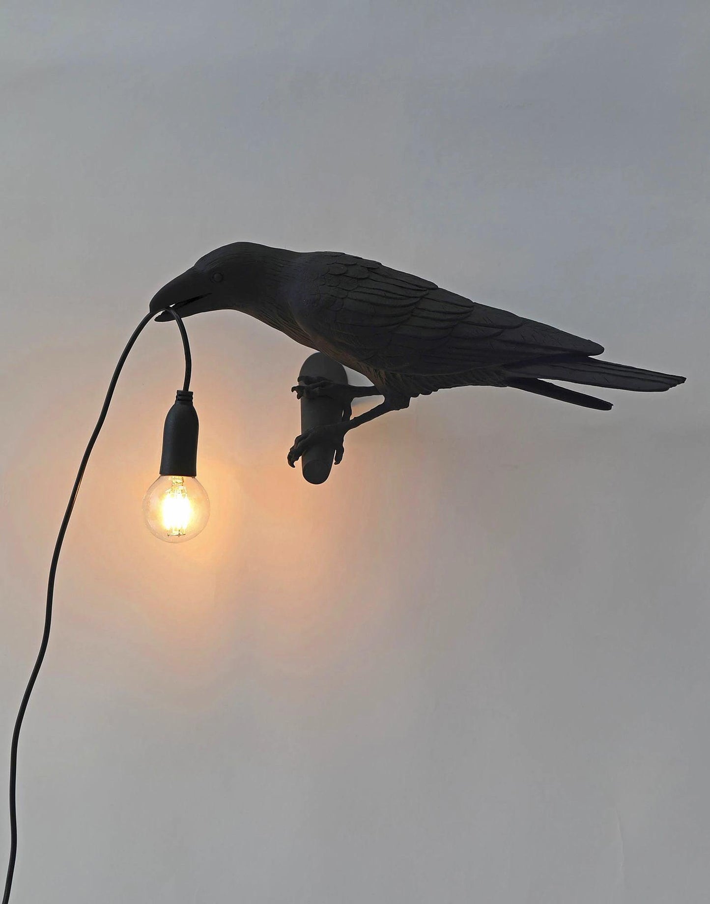 Nature Inspired Bird Shaped Wall Lamp