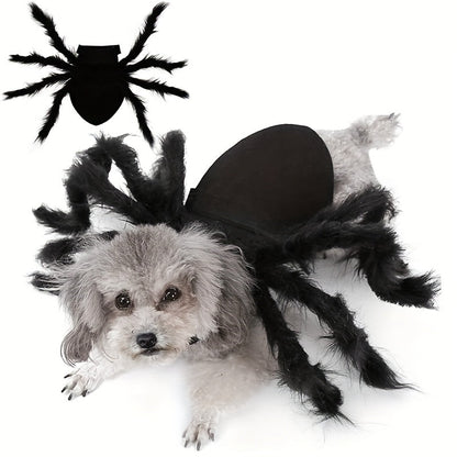 Fesara | Cute Pet Spider Costume | Halloween Dog Suit