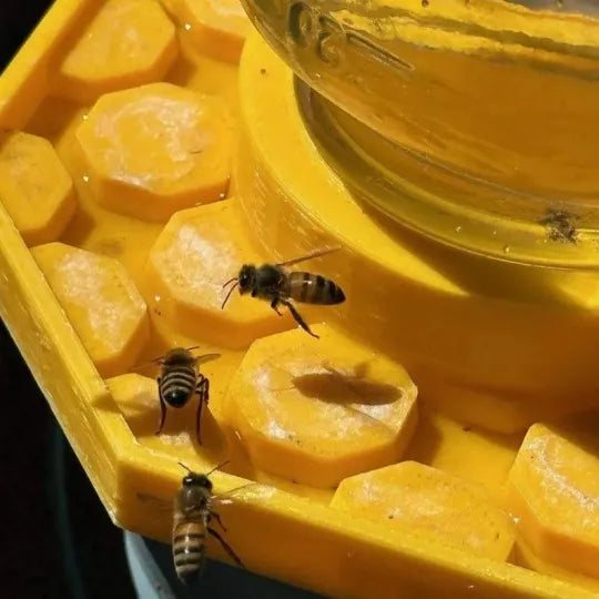 Natural Bee Friendly Garden Habitat - Fesara