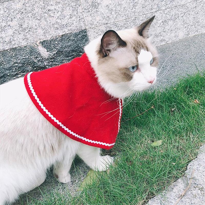 Fun Holiday Pet Costumes