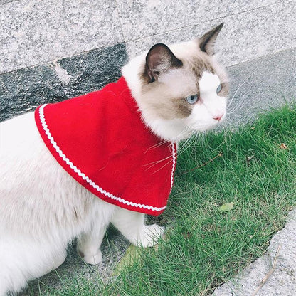 Fun Holiday Pet Costumes
