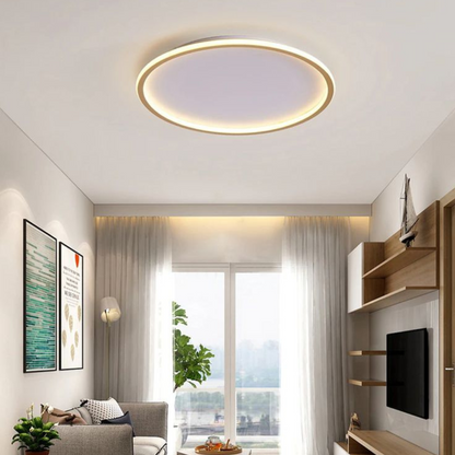 Sleek Ceiling Light Fixture for Living Areas