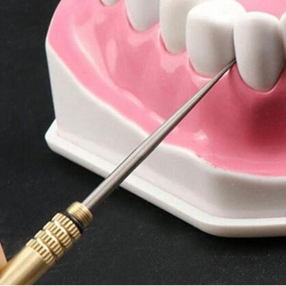 Portable Dental Floss Pick Keychain