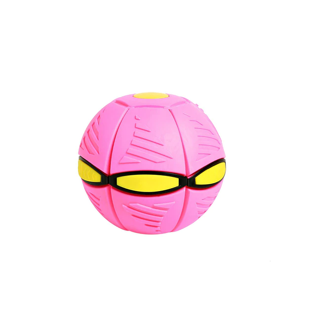 Fun LED Motion Ball Toy