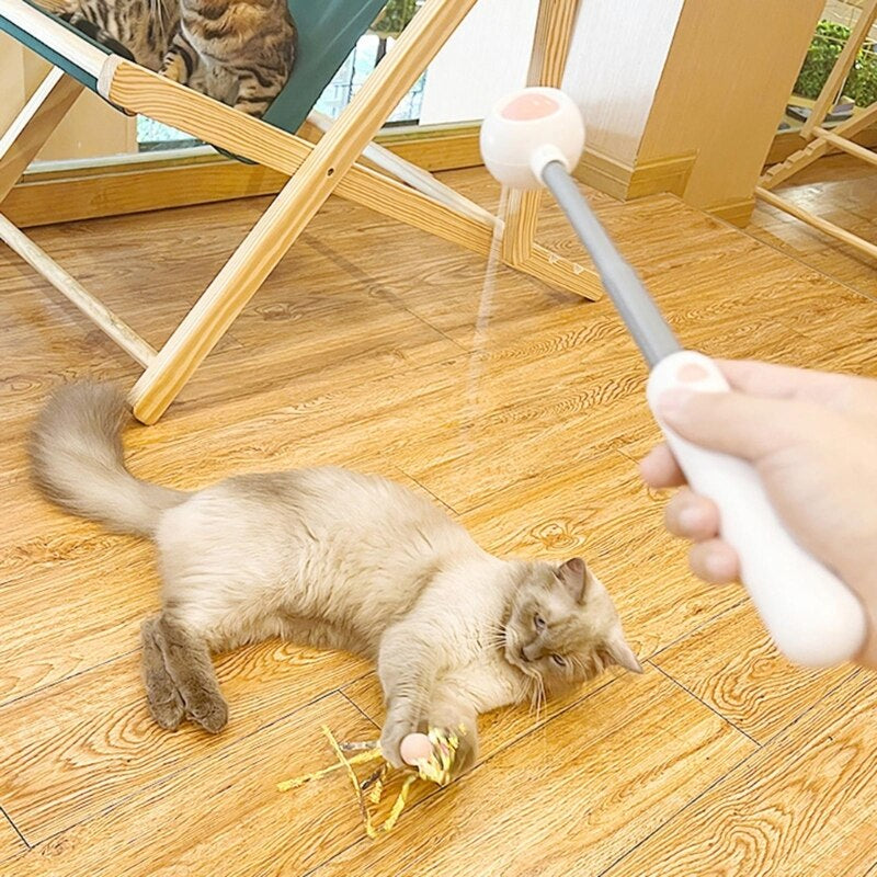 Fun Feather Cat Wand Toy
