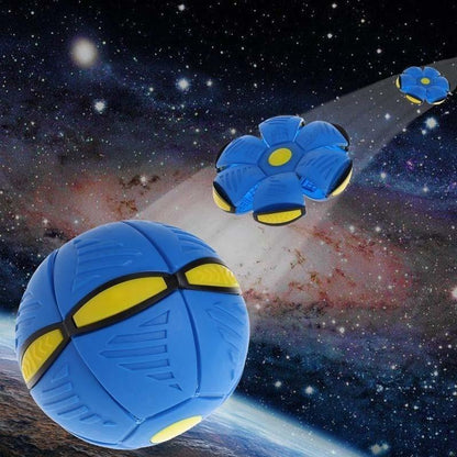 Fun LED Motion Ball Toy