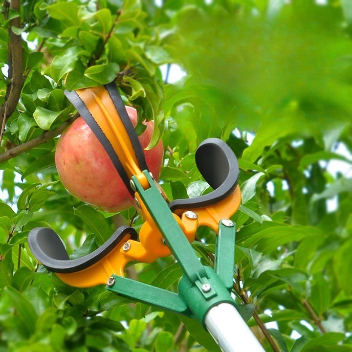 Long Reach Easy Pick Fruit Tool