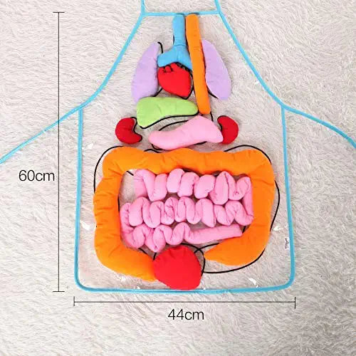 Fun Human Body Apron for Kids