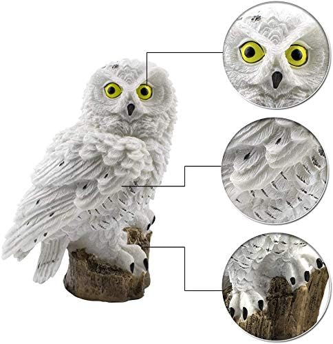 Bright Outdoor Solar Garden Light