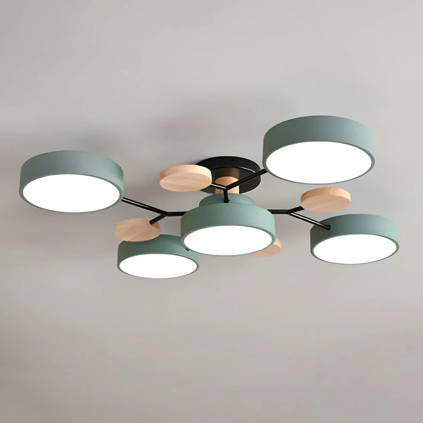 Sleek LED Ceiling Fixture Home Lighting