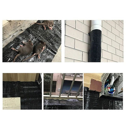 Effective Odorless Mouse Trap