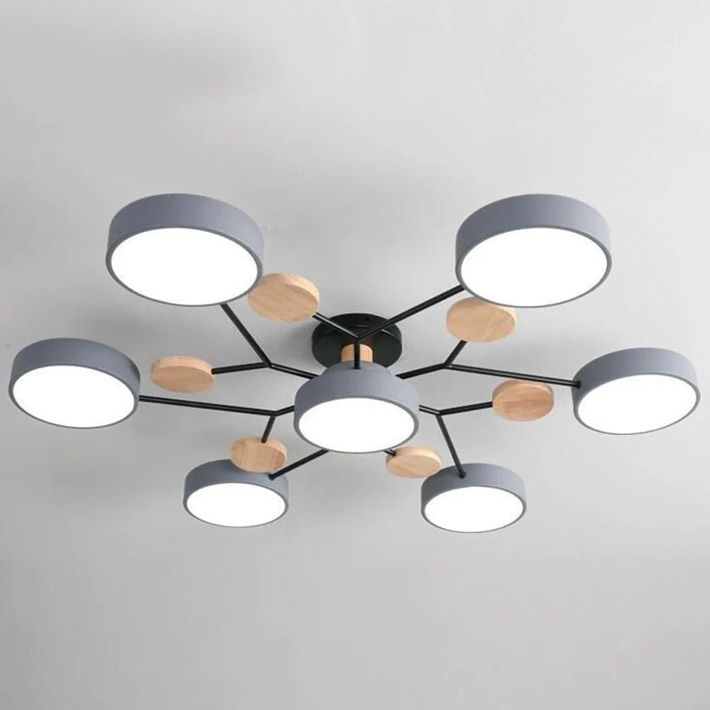 Sleek LED Ceiling Fixture Home Lighting