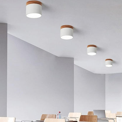 Simple Modern LED Ceiling Lamp
