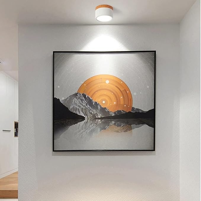 Simple Modern LED Ceiling Lamp