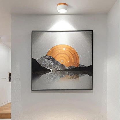 Simple Modern LED Ceiling Lamp