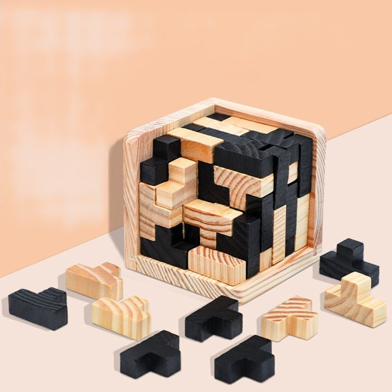 Classic Wooden Puzzle Brain Game - Fesara