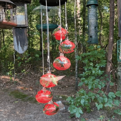 Colorful Hummingbird Garden Decoration
