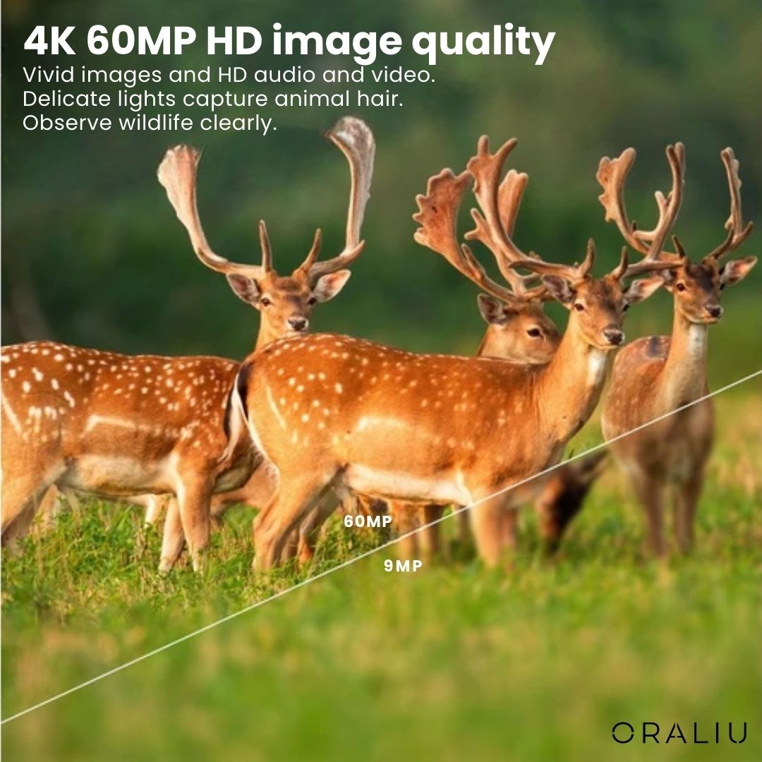 High Definition Outdoor Wildlife Cam - 60MP Wi-Fi Control