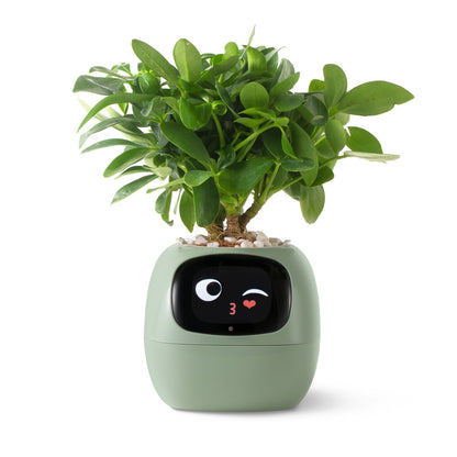 Smart Watering Indoor Planter Pot