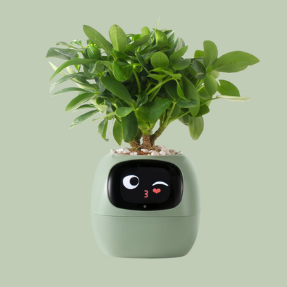 Smart Watering Indoor Planter Pot