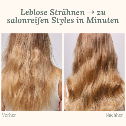 Portable Compact Hair Styler