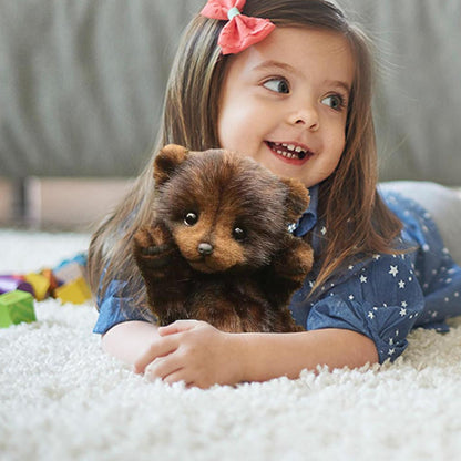 Soft Cuddly Teddy Bear Toys