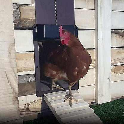 Easy Auto Chicken Coop Door Opener - Fesara