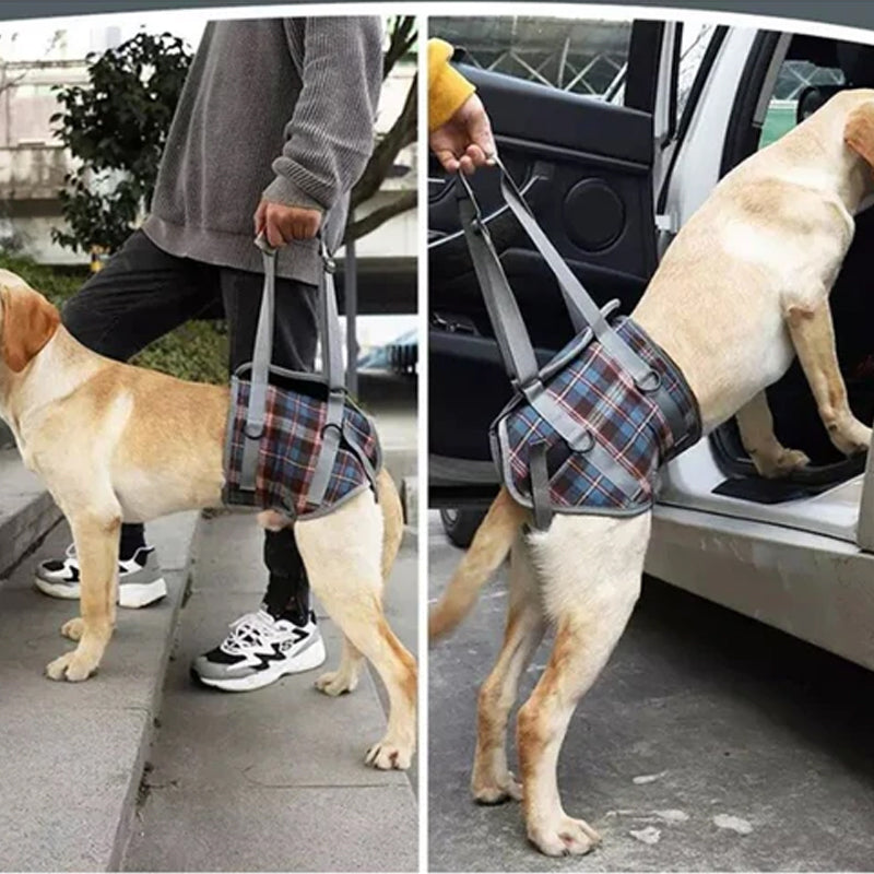 Comfortable Dog Support Harness for Back Legs - Fesara